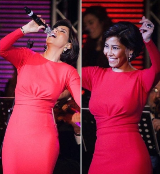 Music Nation - Sherine Abdel Wahab - Concert - Valentine (3)