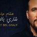 هشام عباس يعود بعد غياب طويل و"عامل ضجة" 5 hesham abbas