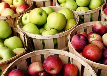 apple 2