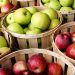وزارة الزرعة اللبنانية تدعو المواطنين للمشاركة في يوم التفاح. 5 apple 2
