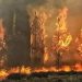 نجوم الفن يتفاعلون مع حرائق لبنان..هذا ما قالوه 6 fire