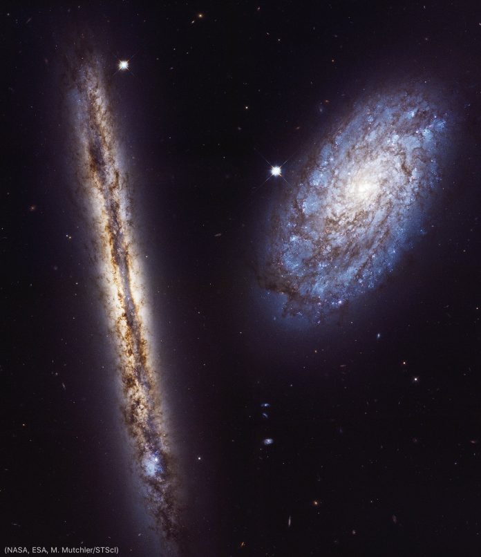 STSCI NGC4302 4298 2 696x806 1