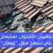 فيديو مرعب - خفافيش الأقحوان تعشعش في اسطح منازل "ووهان" وقد تكون المصدر الرئيسي لفيروس كورونا 8 فيديو مرعب – خفافيش الأقحوان تعشعش في اسطح منازل “ووهان” وقد تكون المصدر الرئيسي لفيروس كورونا