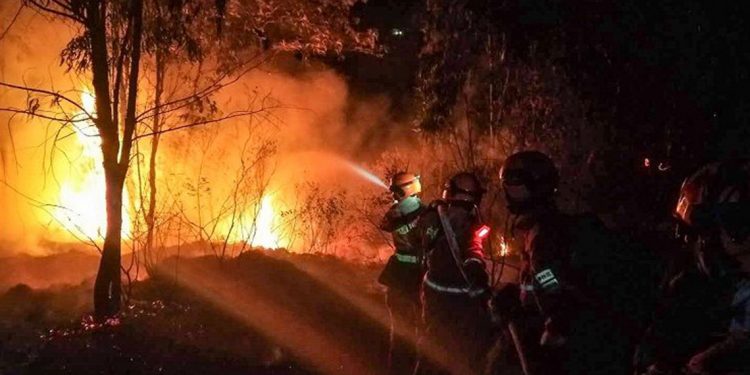 اللعنات تلاحق الصين – مصرع 19 شخص في حرائق الغابات جنوب غرب البلاد