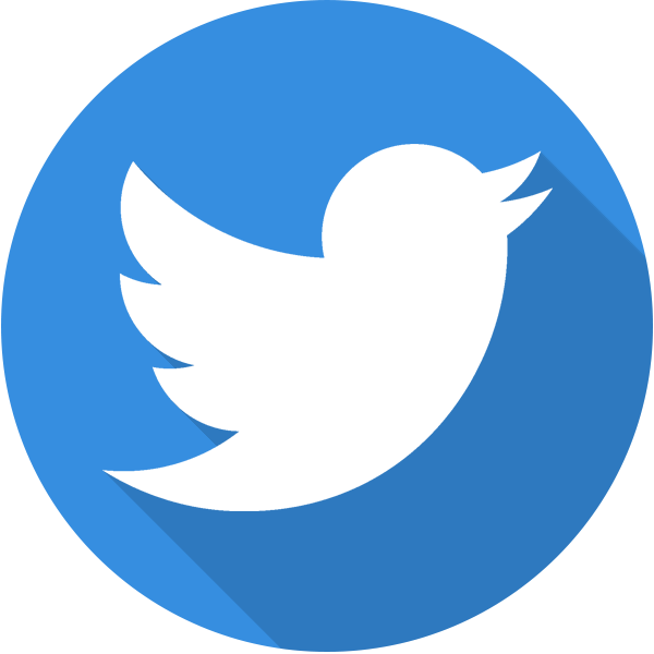twitter flat logo shadow icon