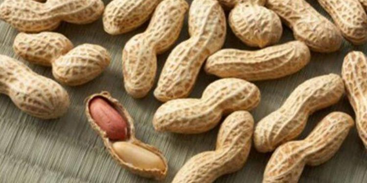 وصفة سحرية لإنقاص الوزن عن طريق الفول السوداني 1 وصفة سحرية لإنقاص الوزن عن طريق الفول السوداني