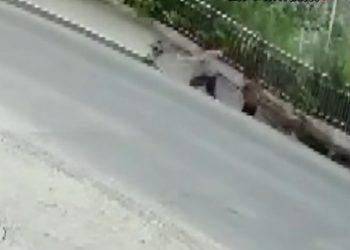 شاهد الأرض تنشق فجأة وتبتلع امرأتين على الرصيف