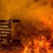 النيران تلتهم غابات كاليفورنيا وتهدد بنزوح جماعي للسكان 8 النيران تلتهم غابات كاليفورنيا وتهدد بنزوح جماعي للسكان