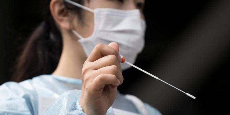 سبب النتائج الخطأ.. خبراء يكشفون "عيباً" في فحوص كورونا بـ"مسحة الأنف" 1 سبب النتائج الخطأ.. خبراء يكشفون “عيباً” في فحوص كورونا بـ”مسحة الأنف”