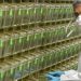 ترامب أوفى بوعده.. لقاح كورونا بعد 57 يوماً “بالتمام والكمال”