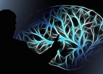 لعلاج الخرف والصرع.. تقنية تحول الأفكار لصور