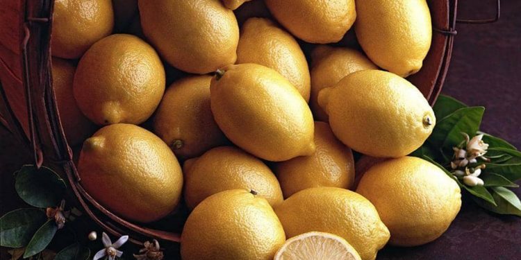 الليمون والنحافة.. دراسة تكشف العلاقة الغريبة 1 الليمون والنحافة.. دراسة تكشف العلاقة الغريبة