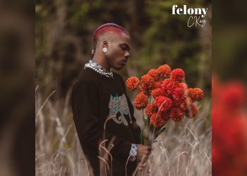 جديد Ckay.. أغنية “Felony” من ألبومه المقبل