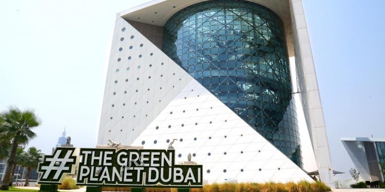 أسبوع من تجارب الحياة البرية الاستوائية في "ذا جرين بلانيت" 1 أسبوع من تجارب الحياة البرية الاستوائية في “ذا جرين بلانيت”