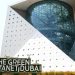 أسبوع من تجارب الحياة البرية الاستوائية في "ذا جرين بلانيت" 8 أسبوع من تجارب الحياة البرية الاستوائية في “ذا جرين بلانيت”