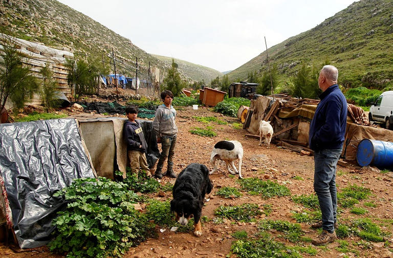 173 001601 lebanon stray dogs pets 2