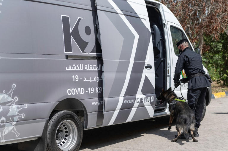 78 175310 uae coronavirus police dogs 2