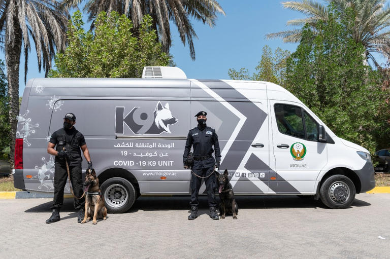 78 175311 uae coronavirus police dogs 3