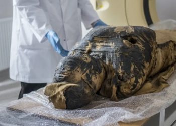 الكشف عن أول مومياء مصرية تحمل جنين وفي اسبوعها ال 28 من الحمل