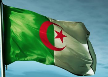 نجوم الفن ورسائل محبة في عيد استقلال الجزائر