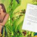 اليسا تلجئ الى القضاء وتصدر بيان اعلامي
