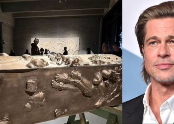 براد بيت يفتتح معرض للنحت ويفاجئ العالم بموهبته الجديدة