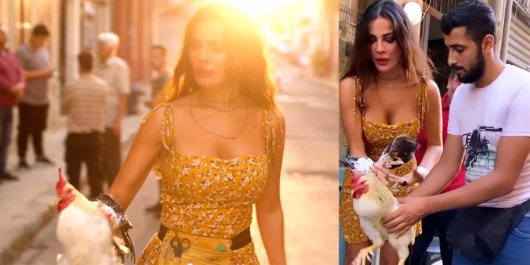 بالفيديو موقف طريف من كواليس صالون زهرة2 بين نادين نجيم والدجاجة 1 بالفيديو موقف طريف من كواليس صالون زهرة2 بين نادين نجيم والدجاجة