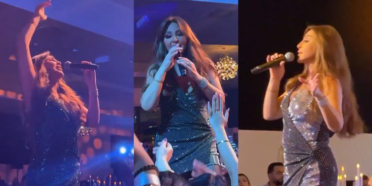 اليسا تتألق بحفل كامل العدد في المانيا