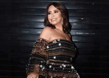 مرة جديدة شيرين تلجأ للقضاء بعد الاستيلاء على صفحاتها الرسمية