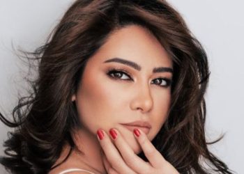 قرار جديد من المحكمة في قضية شيرين ومدير حساباتها السابق