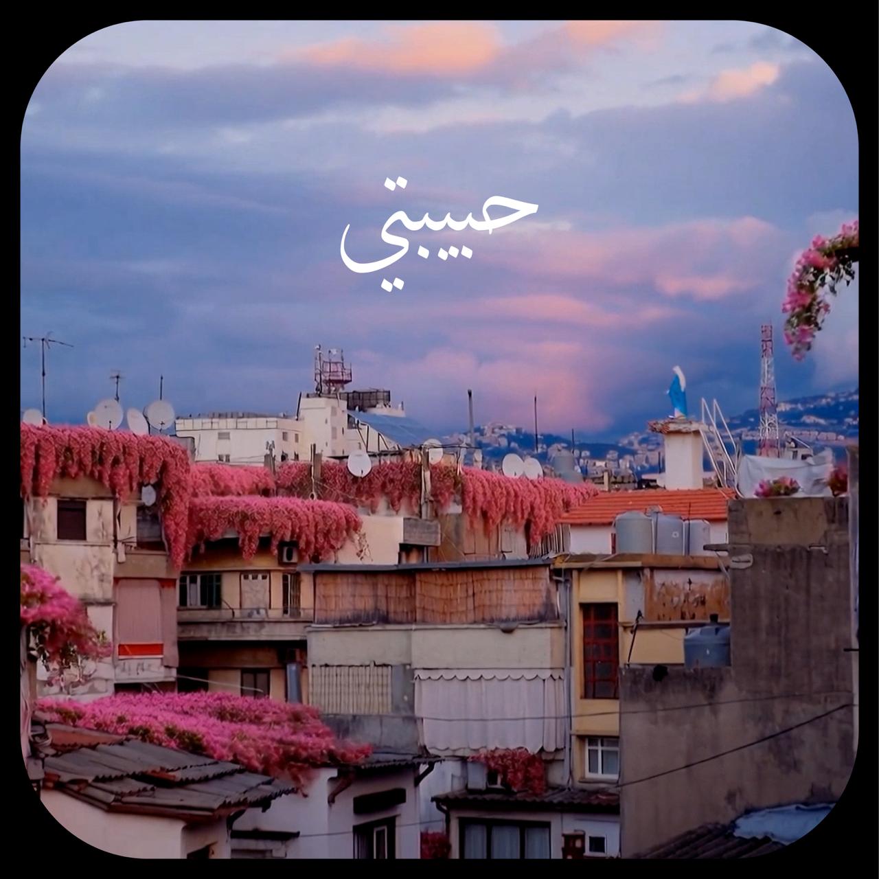 عبير نعمة تُهدي بيروت “حبيبتي”: رسالة حبّ مؤثّرة تُجسّد وجدان مدينة لا تموت 2 WhatsApp Image 2026 04 13 at 3.09.33 PM