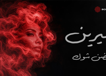 عودة من العيار الثقيل.. شيرين تطلق الحضن شوك