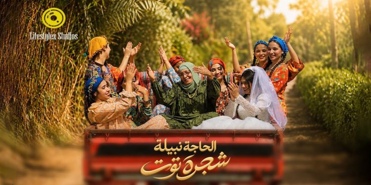 الحاجة نبيلة تغرس «شجرة توت» في قلب الشرقية وتمزج الموسيقى الشعبية بالنغم الغربي 1 الحاجة نبيلة تغرس «شجرة توت» في قلب الشرقية وتمزج الموسيقى الشعبية بالنغم الغربي